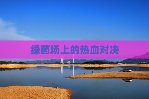 绿茵场上的热血对决