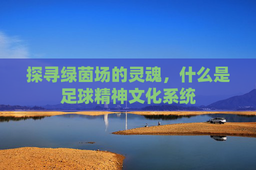 探寻绿茵场的灵魂,什么是足球精神文化系统