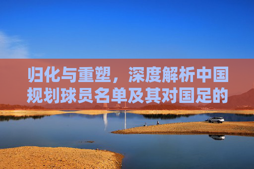 归化与重塑，深度解析中国规划球员名单及其对国足的深远影响