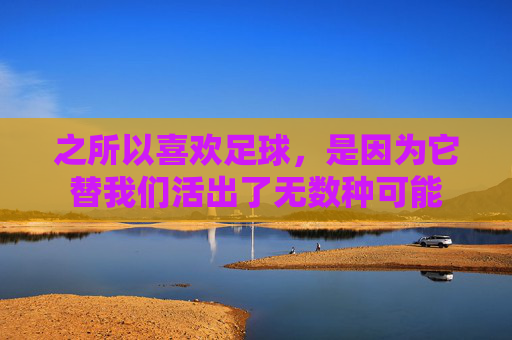 之所以喜欢足球，是因为它替我们活出了无数种可能