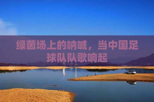 绿茵场上的呐喊，当中国足球队队歌响起