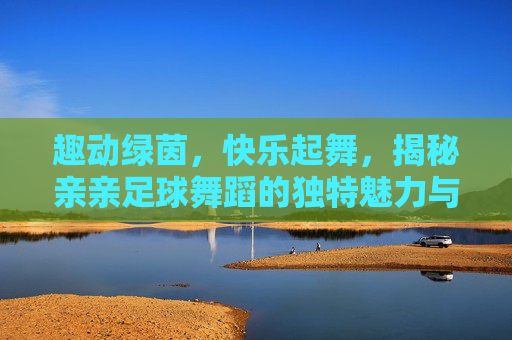 趣动绿茵,快乐起舞,揭秘亲亲足球舞蹈的独特魅力与特点