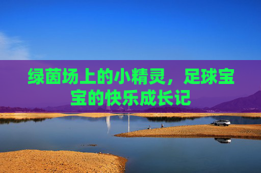 绿茵场上的小精灵,足球宝宝的快乐成长记