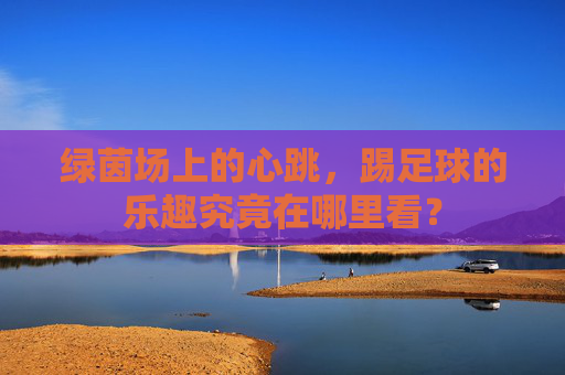 绿茵场上的心跳,踢足球的乐趣究竟在哪里看?