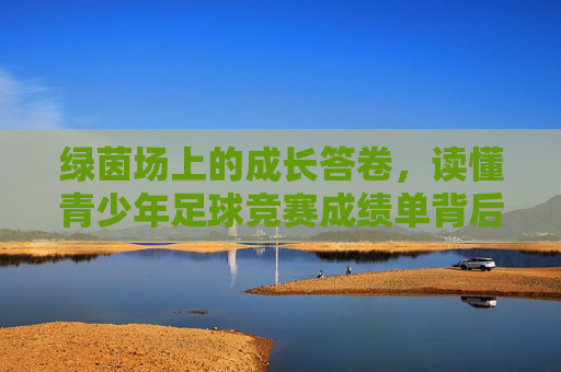 绿茵场上的成长答卷,读懂青少年足球竞赛成绩单背后的成长密码
