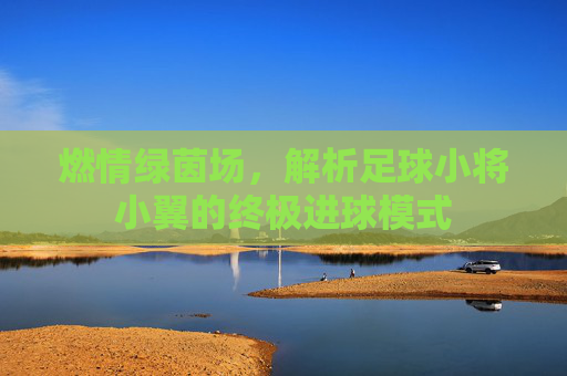 燃情绿茵场，解析足球小将小翼的终极进球模式