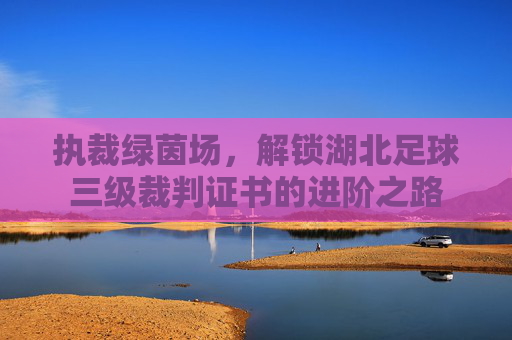 执裁绿茵场，解锁湖北足球三级裁判证书的进阶之路