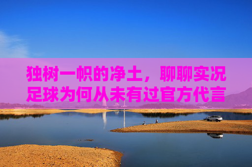 独树一帜的净土，聊聊实况足球为何从未有过官方代言