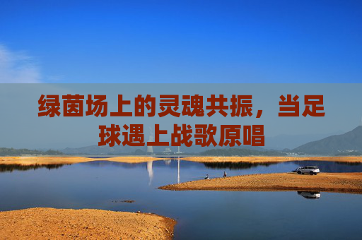 绿茵场上的灵魂共振,当足球遇上战歌原唱