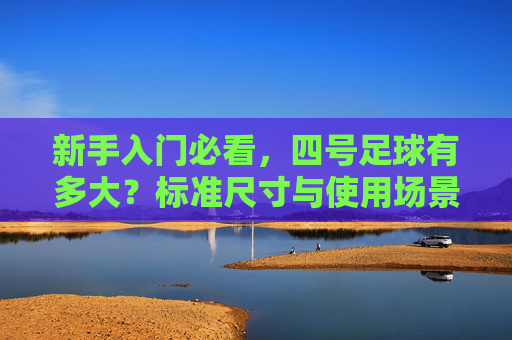 新手入门必看，四号足球有多大？标准尺寸与使用场景全解析