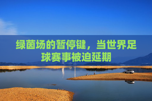 绿茵场的暂停键，当世界足球赛事被迫延期