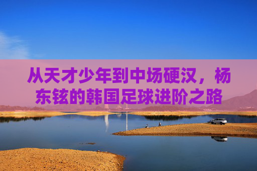 从天才少年到中场硬汉,杨东铉的韩国足球进阶之路
