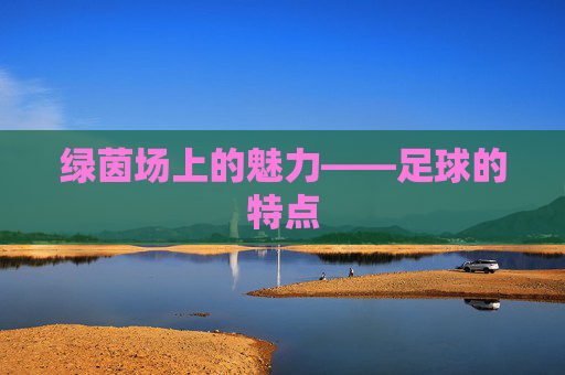绿茵场上的魅力——足球的特点