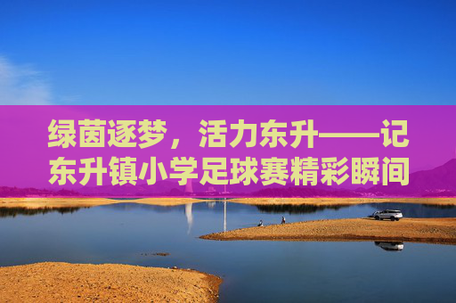 绿茵逐梦,活力东升——记东升镇小学足球赛精彩瞬间