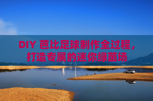 DIY 芭比足球制作全过程,打造专属的迷你绿茵场