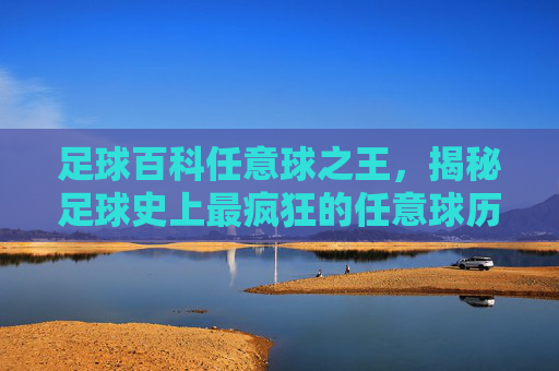足球百科任意球之王，揭秘足球史上最疯狂的任意球历史得分记录