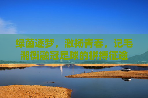 绿茵逐梦,激扬青春,记毛湘衡融冠足球的拼搏征途