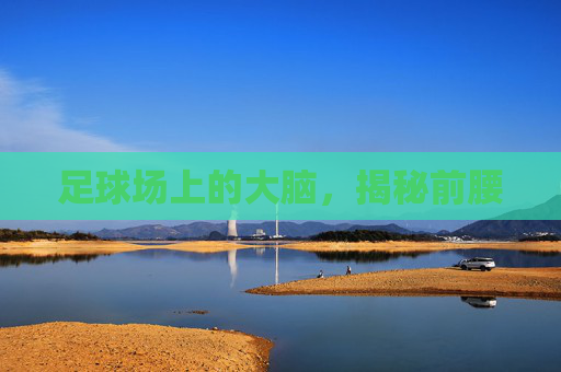 足球场上的大脑，揭秘前腰