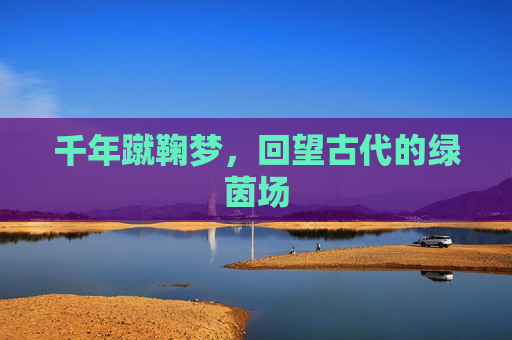千年蹴鞠梦,回望古代的绿茵场