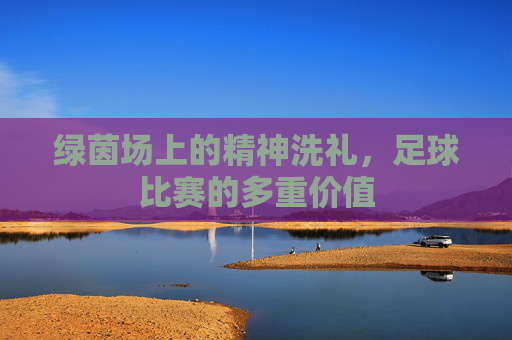 绿茵场上的精神洗礼,足球比赛的多重价值