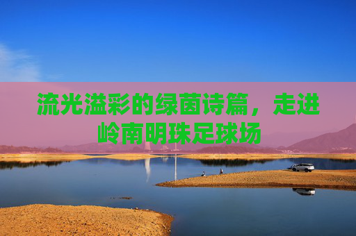 流光溢彩的绿茵诗篇，走进岭南明珠足球场