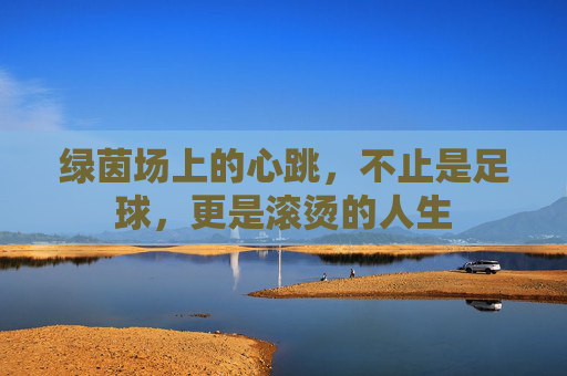 绿茵场上的心跳,不止是足球,更是滚烫的人生