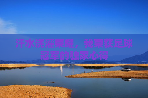 汗水浇灌荣耀,我荣获足球冠军的独家心得