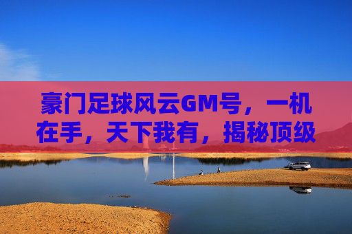 豪门足球风云GM号,一机在手,天下我有,揭秘顶级经理人的特权世界