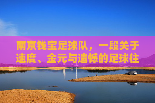 南京钱宝足球队,一段关于速度、金元与遗憾的足球往事