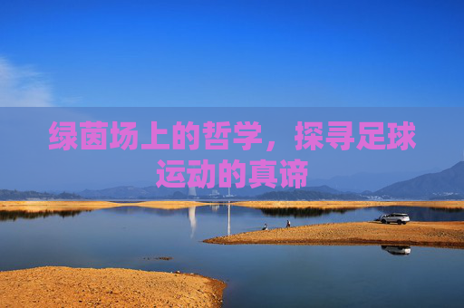 绿茵场上的哲学，探寻足球运动的真谛