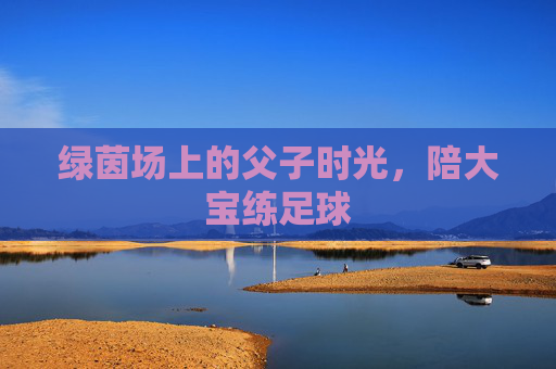 绿茵场上的父子时光,陪大宝练足球