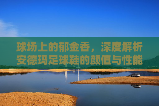 球场上的郁金香，深度解析安德玛足球鞋的颜值与性能