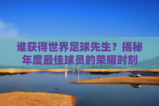 谁获得世界足球先生?揭秘年度最佳球员的荣耀时刻
