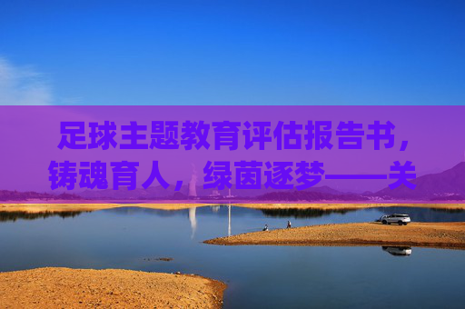 足球主题教育评估报告书，铸魂育人，绿茵逐梦——关于[某某学校/单位]足球主题教育开展情况的综合评估