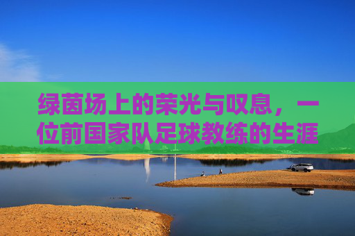 绿茵场上的荣光与叹息，一位前国家队足球教练的生涯回眸