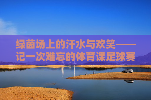 绿茵场上的汗水与欢笑——记一次难忘的体育课足球赛