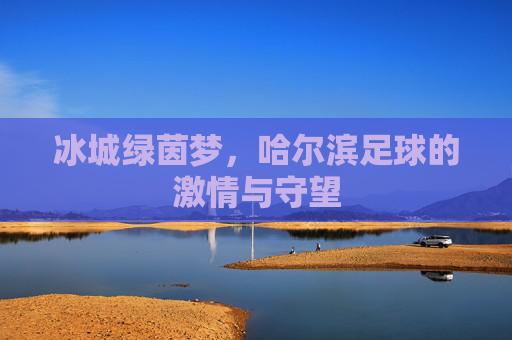 冰城绿茵梦，哈尔滨足球的激情与守望