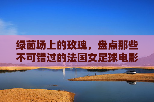 绿茵场上的玫瑰,盘点那些不可错过的法国女足球电影佳作
