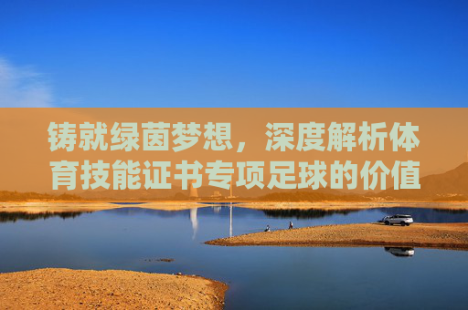 铸就绿茵梦想,深度解析体育技能证书专项足球的价值与意义