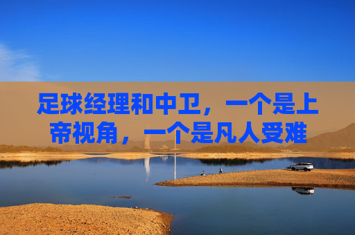 足球经理和中卫，一个是上帝视角，一个是凡人受难