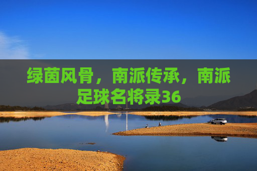 绿茵风骨，南派传承，南派足球名将录36