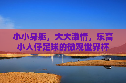 小小身躯，大大激情，乐高小人仔足球的微观世界杯