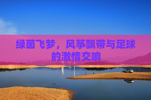 绿茵飞梦,风筝飘带与足球的激情交响
