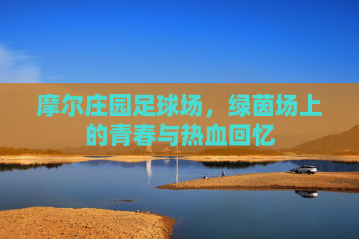 摩尔庄园足球场,绿茵场上的青春与热血回忆