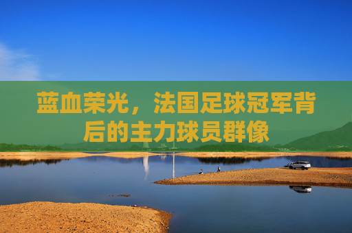 蓝血荣光，法国足球冠军背后的主力球员群像