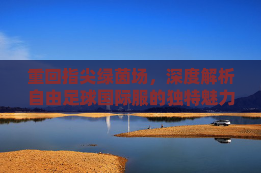 重回指尖绿茵场，深度解析自由足球国际服的独特魅力与怀旧情怀
