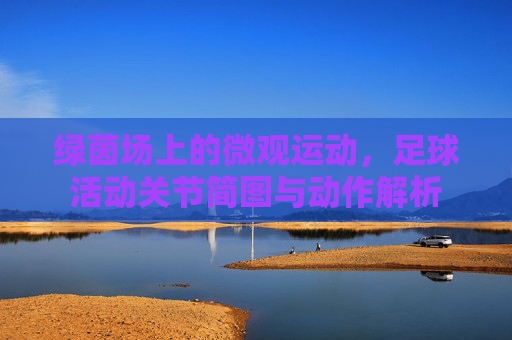 绿茵场上的微观运动，足球活动关节简图与动作解析