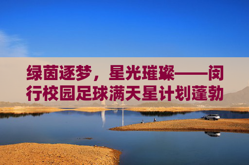 绿茵逐梦,星光璀璨——闵行校园足球满天星计划蓬勃发展纪实
