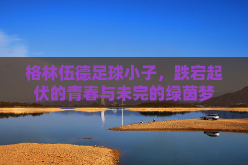 格林伍德足球小子，跌宕起伏的青春与未完的绿茵梦