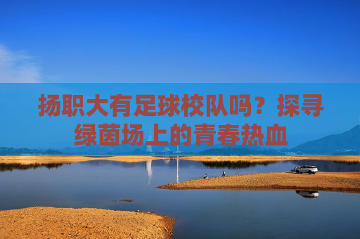 扬职大有足球校队吗？探寻绿茵场上的青春热血